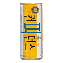 동아오츠카 컨피던스 250ml x 30캔+202nH, 1, 1