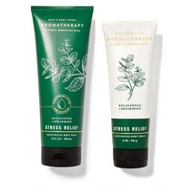 배스앤바디웍스 바디워시+바디로션 아로마테라피 스트레스 릴리프 295ml+226g, 1개