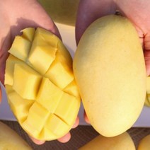 태국 남독마이 망고 골드망고 5kg (항공), 상세페이지 참조, 상세페이지 참조