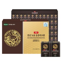 한미 천년 녹용환 동충하초환 3.75g X 60환 쇼핑백 증정, 225g, 1개