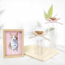 고양이 수염통 강아지 털 보관함 케이스, 네가 준 작은 행운