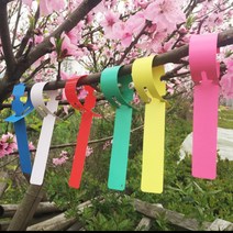 식물 수목 이름표 라벨 묘목 과수원 K92 수목 라벨 명찰 명패 이름표 고리태그 나무 꽃 화분, 옐로우