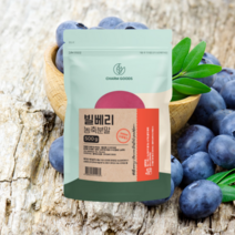 오스트리아산 빌베리 고함량 농축분말 500g 눈건강 bilberry, 500g 1개