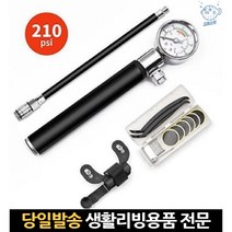 자전거프레스타 자전거바퀴공기주입기 휴대용자전거에어펌프 농구공에어펌프 고압자전거펌프 슈레더펌프, 고래쇼핑, 단일옵션