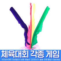 스투피드 체육대회 모음, 009_깃털왕제기27cm