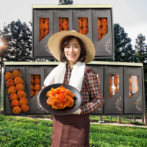 먹사부 상주 곶감 선물세트 반건조 곶감 반건시 반시 건시 설 추석 선물 세트 명절 선물 세트 말린 곶감 실속형 가정용 곶감말이 감말랭이 햇 곳감 꽃감 곷감 곧감 제수용 선물용, Z. 명품곶감3호