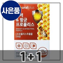 항산화 도움 영양제 여성 프로폴리스 플라보노이드 어버이날 중년 남성 면역 환절기 항균 노인 50대