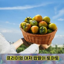 신선코리아 부산 대저토마토 짭짤이2.5kg 제철과일, 1, 본상품선택