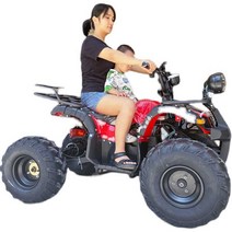 사륜 오토바이크 다목적운반 네발바이크 농업 레저용, 60V20A 1000W 전기 사륜오토바이