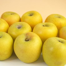 [더조은푸드] 황금사과 시나노골드 가정용 3kg, 시나노골드 가정용 3kg(19과-21과)