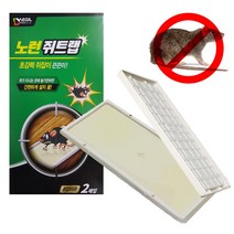 1+1 노런 초강력 쥐잡이 쥐덫 끈끈이트랩 2매 쥐잡, 1+1)2개