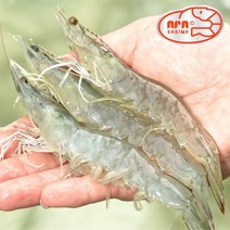 1년내내 당일수확 냉동X 산지직송 무항생제 흰다리새우 대하 친환경 실내양식 생새우 활새우 소금구이, 1kg, 1개