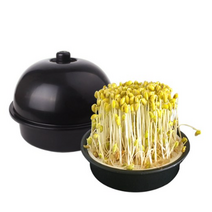 클래스 콩나물 재배기, 1개