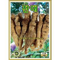 잔대씨앗 1000립, 1개
