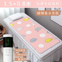 소형전기장판 미용샵침대 전기매트 전용 미용실 싱글전기요 안전 습기제거 안마침대 쇼파 소형차 스몰사이즈, C01-1x1m