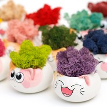 스칸디아모스 천연이끼 냥이 표정화분_15colors, 냥이표정화분, 모스그린