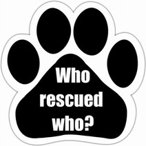 ”Who Rescued Who” Car Magnet With Unique Paw Shaped Design Measures 5.2 by 5.2 Inches Covered In UV, 1