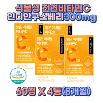 활력 식물유래 비타민 인디안 구스베리 천연 비타민C 8개월 임산부 수유부 임산부 산모 수유부 활력 순수 비건 자연유래 비타민씨 비타민시 키즈 어린이 초등학생 고등학생 발육기 유해산소
