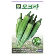흰민들레 100립 - 씨 씨앗 민들레 흰민들레씨앗 흰민들레씨앗 약용씨앗 채소씨 채소씨앗 약용씨 민들레씨앗, 05_다농_오크라(50립)