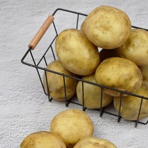 기찬꾸러미농산물 국내산 햇 감자 상(구이용) 1kg 3kg 5kg 10kg, 감자 상(구이용) 10kg