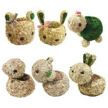큰나무상사 반제 동물캐릭터 토피어리 화분 만들기 토끼 잔디인형, 단품