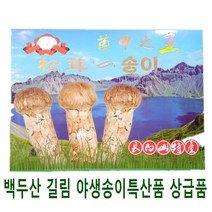 자연산 송이버섯 백두산 길림 야생 건조 50g 특산품 한방재료 대륙의약초, 100g, 1개