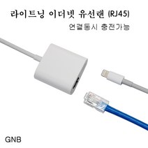 아이패드 에어 3/2 라이트닝 HDMI 케이블, 화이트