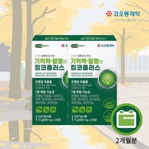 뇌 기능 생각 활성화 에 좋은 기억력 인지력 저하 감퇴 혈행 개선 플라보놀배당체 은행잎 추출물 징코 ginko 영양제, 2BOX)(2개월분)