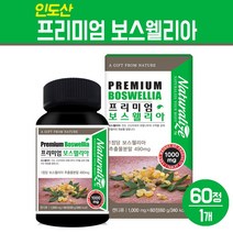 프리미엄 보스웰리아 추출물 분말 캡슐 인도산 보스엘리아 정 알약 타입 무릎 관절 연골 고함량 보스웰릭산 뉴질랜드 초록잎홍합 상어연골 가루 비타민D 해조 칼슘 건강 보조 식품, 1box, 보스웰리아 정 60개입