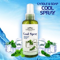 C&S 피부에 뿌리는 천연 쿨링스프레이 150ml 쿨파스 에어컨, 1개