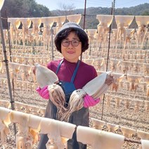 오징어엄마 반건조오징어 피데기 반건오징어, 1개