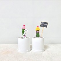 꽃피우는청년 키우기 쉬운 실내공기정화식물 선인장 2종 세트 - 피쉬본 로드킬 선인장 (만세 선인장), 우드 스탠드 미포함, 원형 흰색