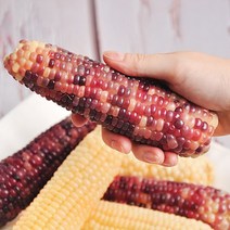 푸르젠 [푸르젠] 산지직송 삶은 냉동 흑찰옥수수 3개입*2팩, 1