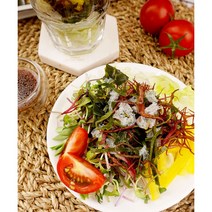 통영 해산물 멍게 가리비 굴, 1box, 모듬해초(7g)5개
