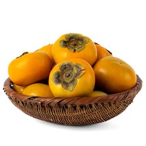 23년 햇단감 진영단감 고당도, 10kg / 중과 / 60과 내외, 1개