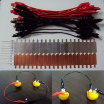 과일 전지 만들기 (10인용) 단체 야채 발광 다이오드 전선 구리 아연 판 과학 실험 키트