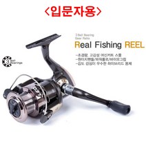 (디앤티) 입문자용 낚시용품 낚시쇼핑몰 루어릴 고급릴, GF5000