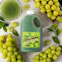 흥국F&B 샤인머스캣농축액 1.5 L, 1.5L, 1개