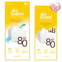 에어퀸 KF80 황사 마스크 대형 소형 100매 [공식대리점] ~16시 주문까지 오늘 출고, 에어퀸 KF80 황사 대형 100매