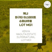 (커피생두) 32 케냐 마구타 이스테이트 슈퍼내추럴 1kg