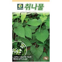곤드레 100립 - 씨 씨앗 곤드레씨앗 곤드레씨 나물씨 나물씨앗 민속채소 채소씨 채소씨앗 고려엉겅퀴, 11_다농_취나물(5g)