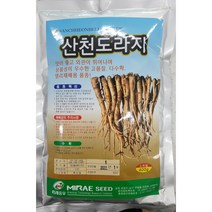 [23년생산]도라지씨앗 400g 대용량 산천도라지 국산 미래종묘, 1개