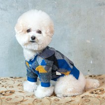 아기강아지옷 고급 자카드 가디건 니트 강아지감기
