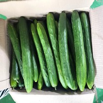 가락시장 취청오이 특품 1kg+1kg, 상세페이지 참조, 상세페이지 참조, 상세페이지 참조