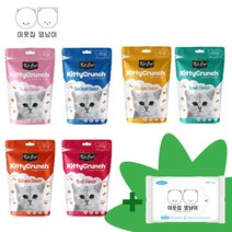 킷캣 키티 크런치 6종 고양이 스낵 수입 간식 기호성, 닭고기맛 12개