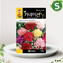 솔림텃밭몰 카네이션씨앗 150립 카네이션 꽃씨앗 혼합종