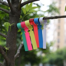 식물 나무 리본 띠 라벨 네임택 이름표 100P DD-11584