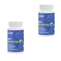 건강바름 류신 마카 아르기닌 플러스 100g 총 120정 2통, 2통 총 120정