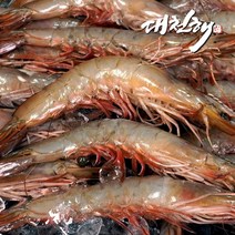 [수염대롱새우] 대천해 자연산 대하 1kg(23~29미 내외)