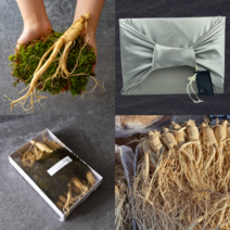 인삼 꿀절임 풍기 한채 시장 무침 영주 세척 원수삼 6년근 선물세트 맛남마켓, 2. 세척O, 1. 원수삼 4호(13~18뿌리 750g), 세척시 포장 불가